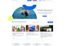 do custom hotel and travel booking website and basic SEO